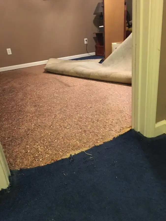Carpet pad removal revealing water damage during Drying & Dehumidification in Inver Grove Heights