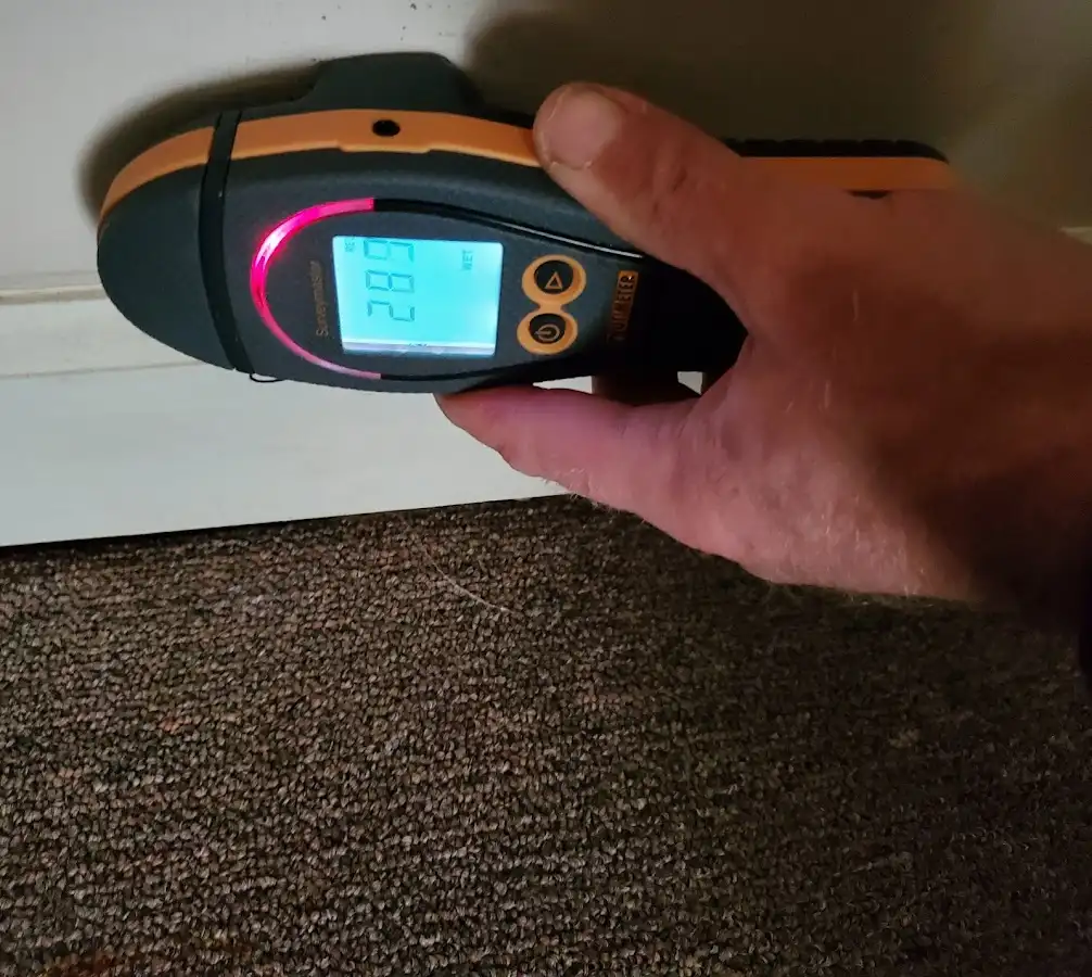 Moisture detection at baseboard during Sewage Cleanup & Sanitation in Inver Grove Heights